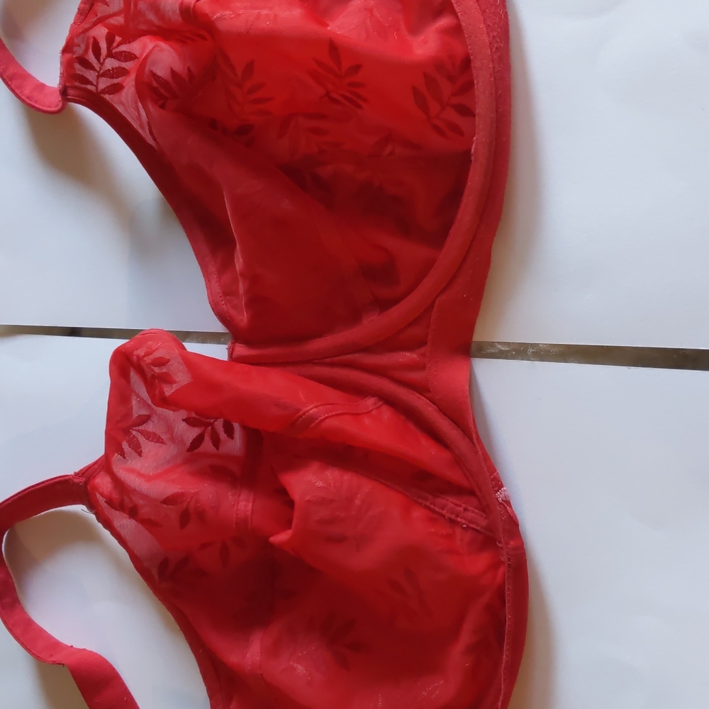 Panache Tango Red Bra 30k - Picture 5 of 6